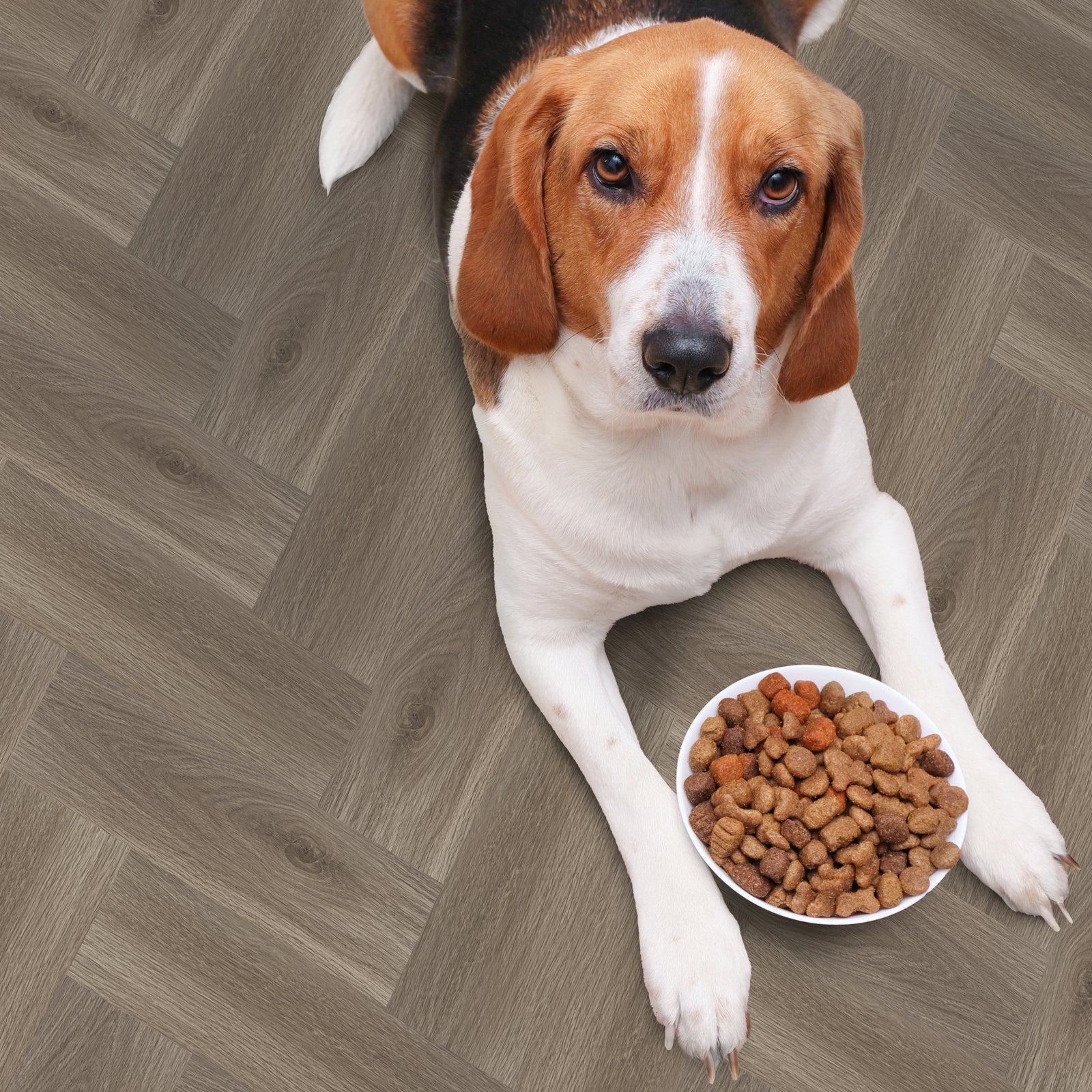 Family and Pet-Friendly Items