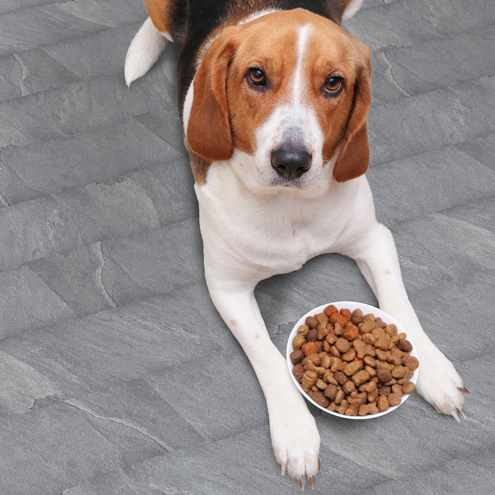Pet and Kid Safe Solutions