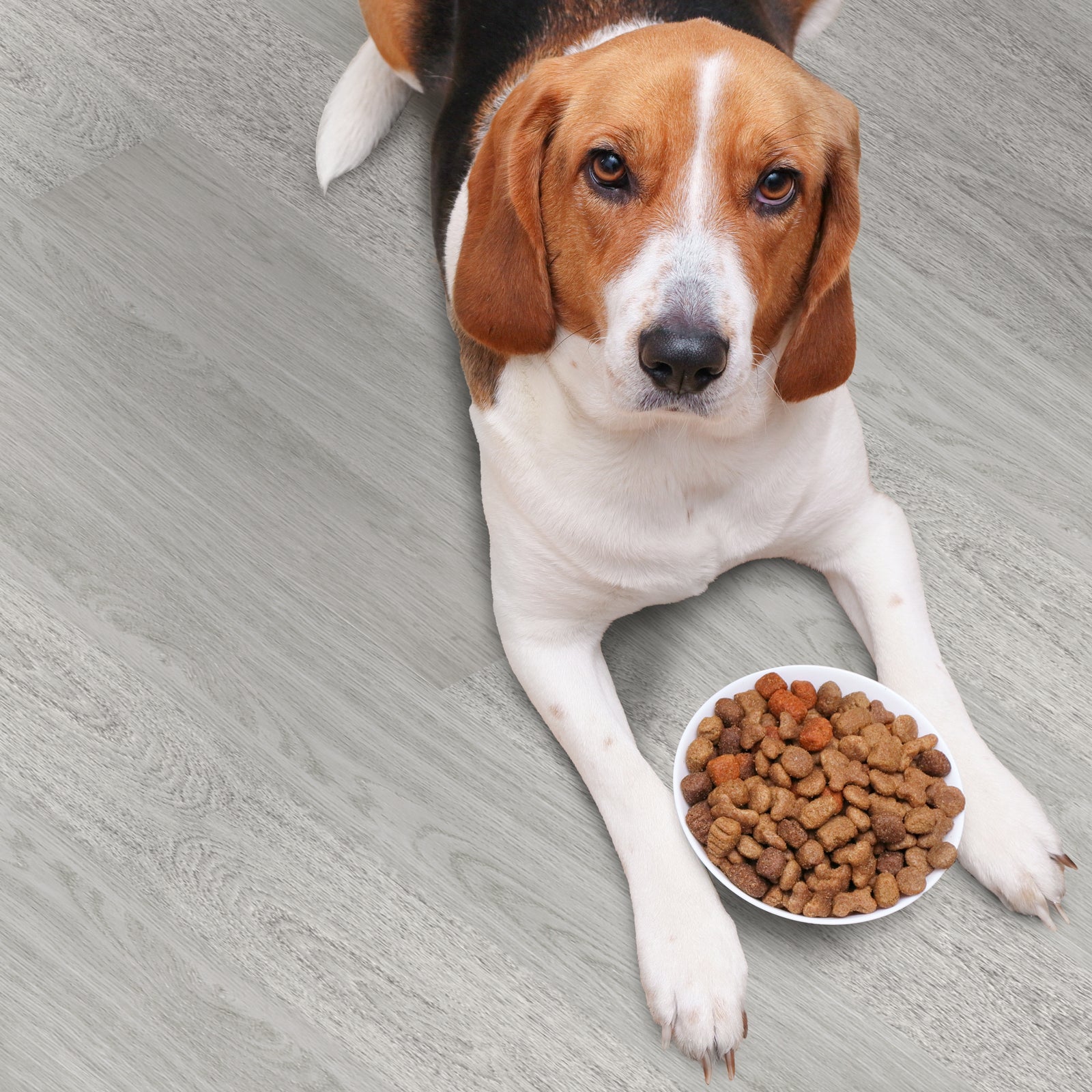 Light Gray Oak Floor Tile